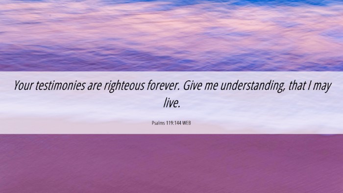 Picture 06 - Psalms 119:144 WEB Desktop Wallpaper - Your testimonies are righteous forever. Give me - Desktop Bible Verse Wallpaper