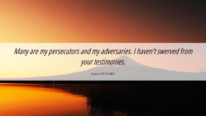 Picture 06 - Psalms 119:157 WEB Desktop Wallpaper - Many are my persecutors and my adversaries. I - Desktop Bible Verse Wallpaper