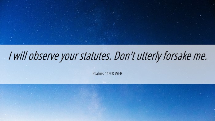 Picture 06 - Psalms 119:8 WEB Desktop Wallpaper - I will observe your statutes. Don't utterly - Desktop Bible Verse Wallpaper