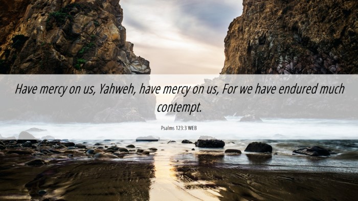 Picture 06 - Psalms 123:3 WEB Desktop Wallpaper - Have mercy on us, Yahweh, have mercy on us, For - Desktop Bible Verse Wallpaper