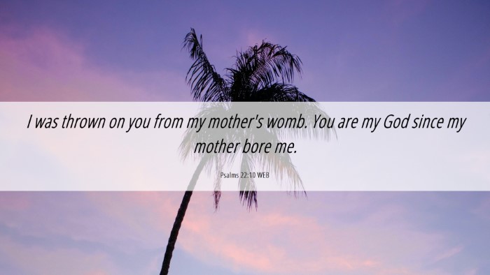 Picture 06 - Psalms 22:10 WEB Desktop Wallpaper - I was thrown on you from my mother's womb. You - Desktop Bible Verse Wallpaper