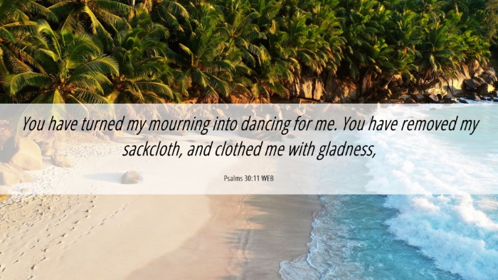 Picture 06 - Psalms 30:11 WEB Desktop Wallpaper - You have turned my mourning into dancing for me. - Desktop Bible Verse Wallpaper