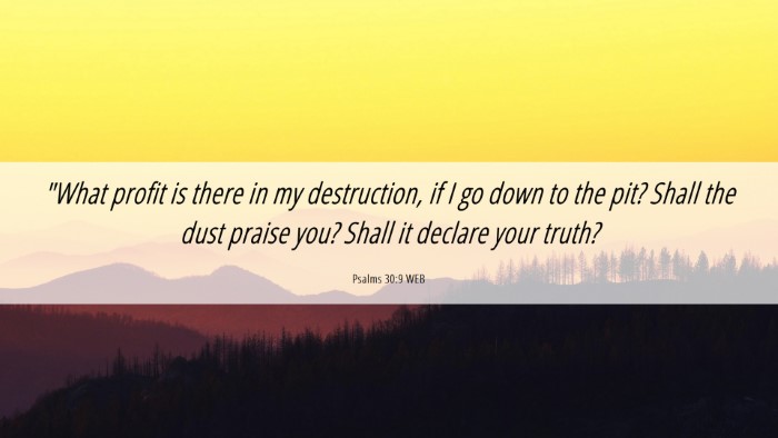 Picture 06 - Psalms 30:9 WEB Desktop Wallpaper - 