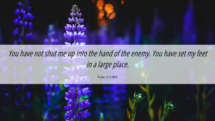 Picture 06 - Psalms 31:8 WEB Desktop Wallpaper - You have not shut me up into the hand of the - Desktop Bible Verse Wallpaper