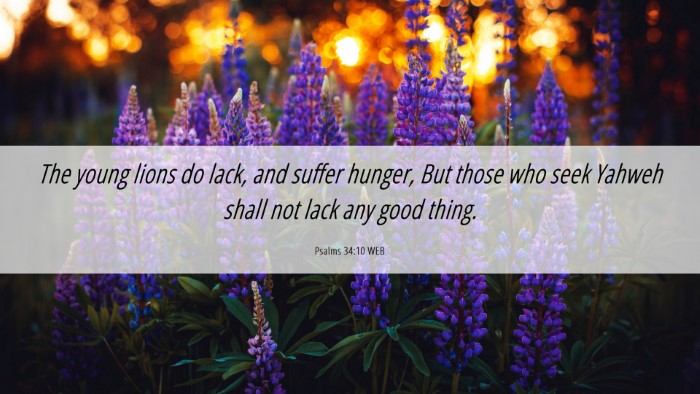 Picture 06 - Psalms 34:10 WEB Desktop Wallpaper - The young lions do lack, and suffer hunger, But - Desktop Bible Verse Wallpaper
