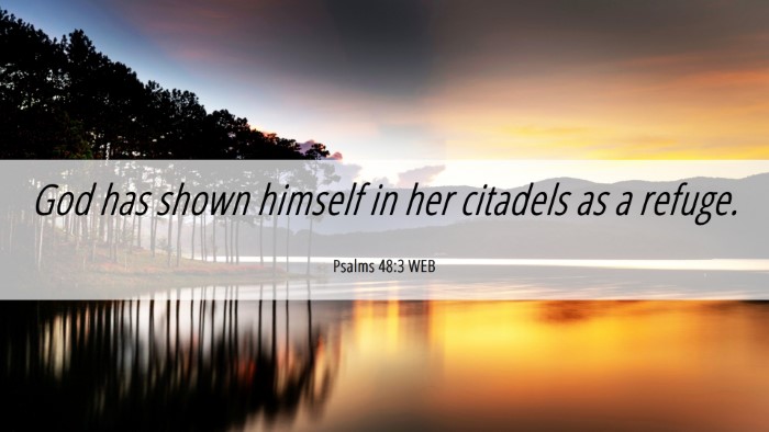 Picture 06 - Psalms 48:3 WEB Desktop Wallpaper - God has shown himself in her citadels as a - Desktop Bible Verse Wallpaper