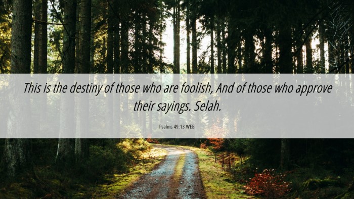 Picture 06 - Psalms 49:13 WEB Desktop Wallpaper - This is the destiny of those who are foolish, And - Desktop Bible Verse Wallpaper
