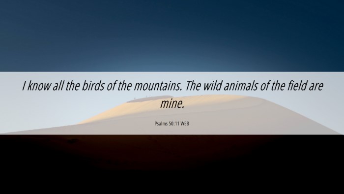 Picture 06 - Psalms 50:11 WEB Desktop Wallpaper - I know all the birds of the mountains. The wild - Desktop Bible Verse Wallpaper