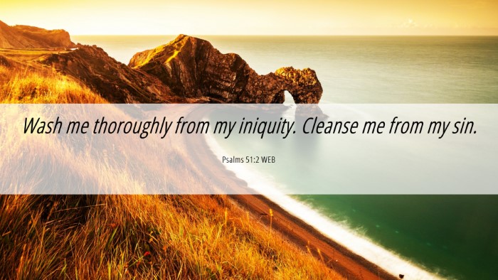 Picture 06 - Psalms 51:2 WEB Desktop Wallpaper - Wash me thoroughly from my iniquity. Cleanse me - Desktop Bible Verse Wallpaper