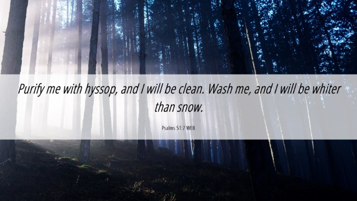 Picture 06 - Psalms 51:7 WEB Desktop Wallpaper - Purify me with hyssop, and I will be clean. Wash - Desktop Bible Verse Wallpaper
