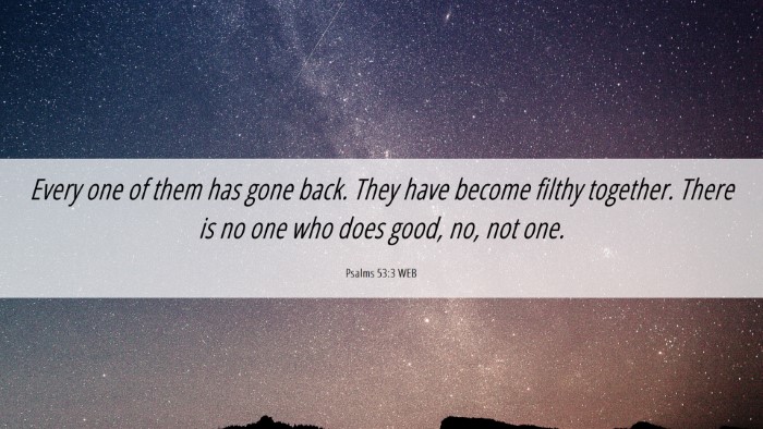 Picture 06 - Psalms 53:3 WEB Desktop Wallpaper - Every one of them has gone back. They have become - Desktop Bible Verse Wallpaper