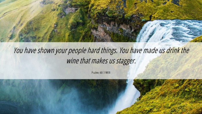 Picture 06 - Psalms 60:3 WEB Desktop Wallpaper - You have shown your people hard things. You have - Desktop Bible Verse Wallpaper