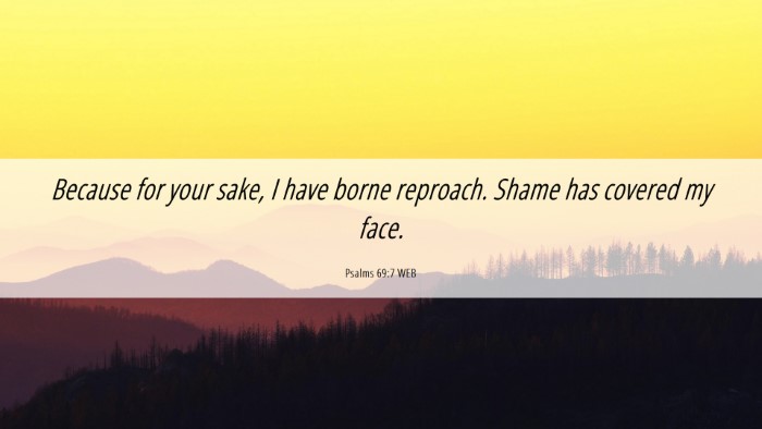 Picture 06 - Psalms 69:7 WEB Desktop Wallpaper - Because for your sake, I have borne reproach. - Desktop Bible Verse Wallpaper