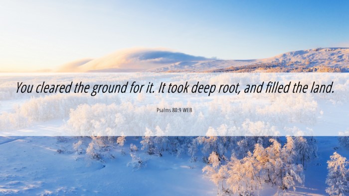 Picture 06 - Psalms 80:9 WEB Desktop Wallpaper - You cleared the ground for it. It took deep root, - Desktop Bible Verse Wallpaper