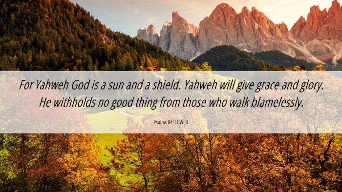 Picture 06 - Psalms 84:11 WEB Desktop Wallpaper - For Yahweh God is a sun and a shield. Yahweh will - Desktop Bible Verse Wallpaper