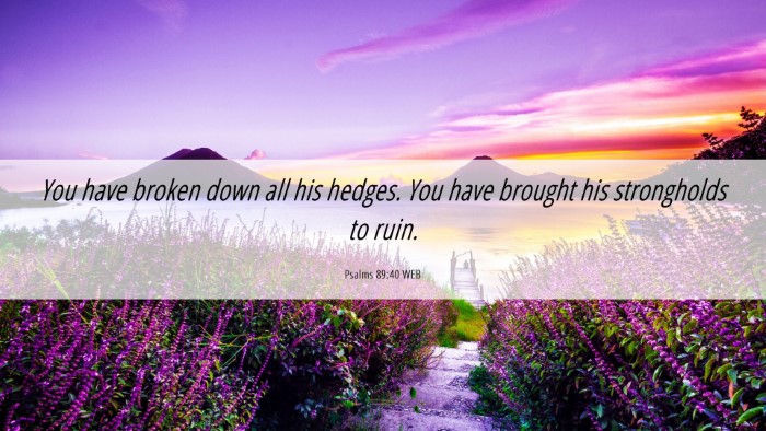 Picture 06 - Psalms 89:40 WEB Desktop Wallpaper - You have broken down all his hedges. You have - Desktop Bible Verse Wallpaper