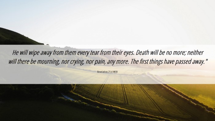 Picture 06 - Revelation 21:4 WEB Desktop Wallpaper - He will wipe away from them every tear from their - Desktop Bible Verse Wallpaper
