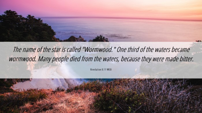Picture 06 - Revelation 8:11 WEB Desktop Wallpaper - The name of the star is called 