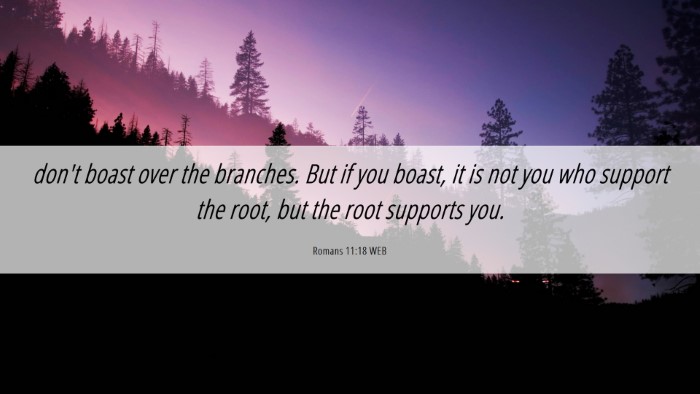 Picture 06 - Romans 11:18 WEB Desktop Wallpaper - don't boast over the branches. But if you boast, - Desktop Bible Verse Wallpaper