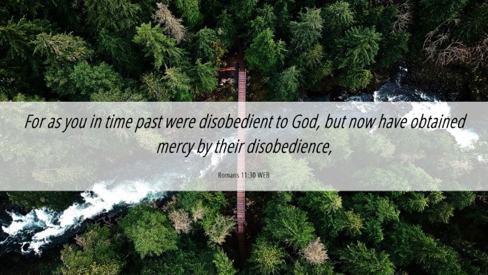 Picture 06 - Romans 11:30 WEB Desktop Wallpaper - For as you in time past were disobedient to God, - Desktop Bible Verse Wallpaper