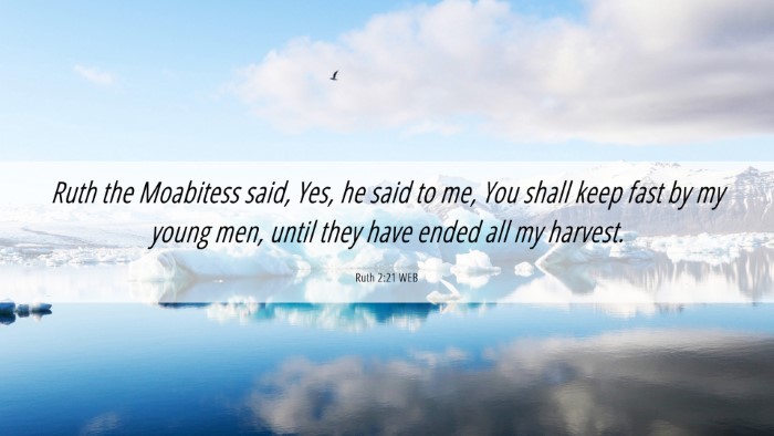 Picture 06 - Ruth 2:21 WEB Desktop Wallpaper - Ruth the Moabitess said, Yes, he said to me, You - Desktop Bible Verse Wallpaper