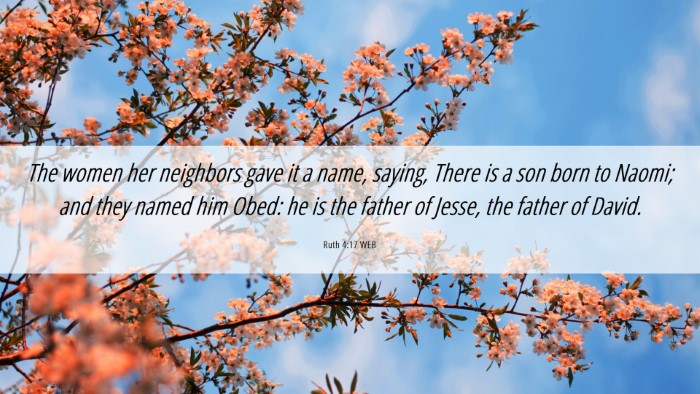 Picture 06 - Ruth 4:17 WEB Desktop Wallpaper - The women her neighbors gave it a name, saying, - Desktop Bible Verse Wallpaper