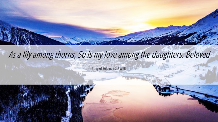 Picture 06 - Song of Solomon 2:2 WEB Desktop Wallpaper - As a lily among thorns, So is my love among the - Desktop Bible Verse Wallpaper