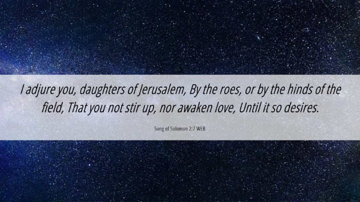 Picture 06 - Song of Solomon 2:7 WEB Desktop Wallpaper - I adjure you, daughters of Jerusalem, By the - Desktop Bible Verse Wallpaper