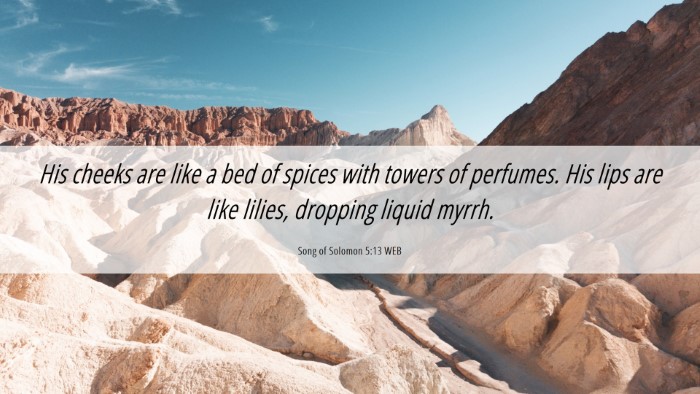 Picture 06 - Song of Solomon 5:13 WEB Desktop Wallpaper - His cheeks are like a bed of spices with towers - Desktop Bible Verse Wallpaper