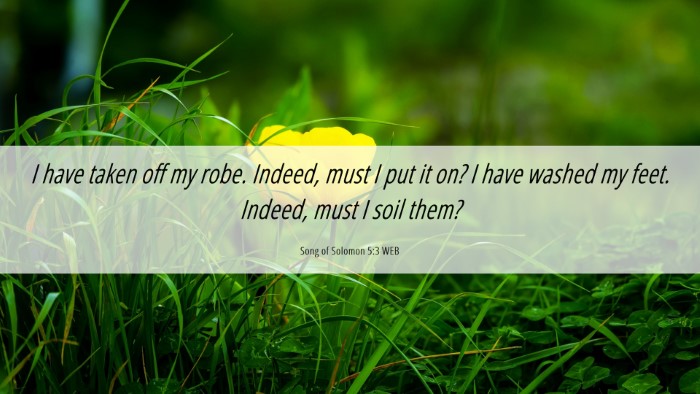 Picture 06 - Song of Solomon 5:3 WEB Desktop Wallpaper - I have taken off my robe. Indeed, must I put it - Desktop Bible Verse Wallpaper
