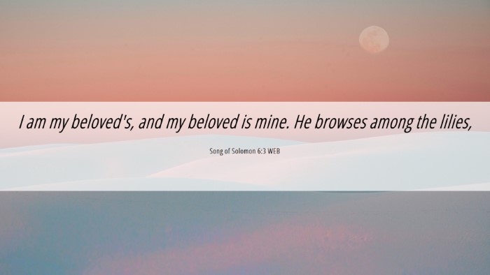 Picture 06 - Song of Solomon 6:3 WEB Desktop Wallpaper - I am my beloved's, and my beloved is mine. He - Desktop Bible Verse Wallpaper