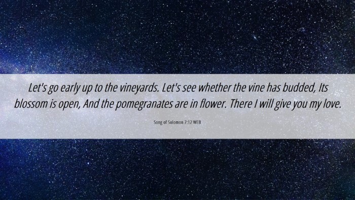 Picture 06 - Song of Solomon 7:12 WEB Desktop Wallpaper - Let's go early up to the vineyards. Let's see - Desktop Bible Verse Wallpaper