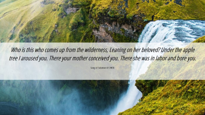 Picture 06 - Song of Solomon 8:5 WEB Desktop Wallpaper - Who is this who comes up from the wilderness, - Desktop Bible Verse Wallpaper