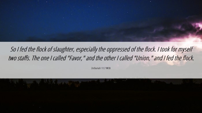 Picture 06 - Zechariah 11:7 WEB Desktop Wallpaper - So I fed the flock of slaughter, especially the - Desktop Bible Verse Wallpaper