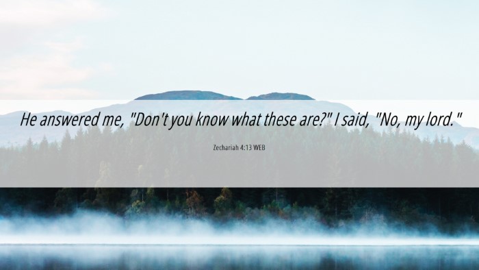 Picture 06 - Zechariah 4:13 WEB Desktop Wallpaper - He answered me, 