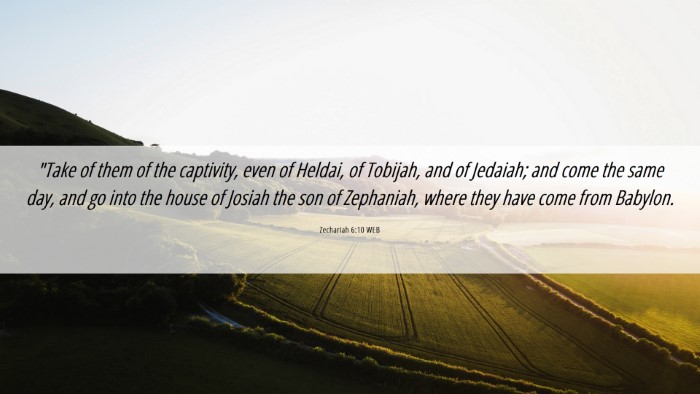 Picture 06 - Zechariah 6:10 WEB Desktop Wallpaper - 