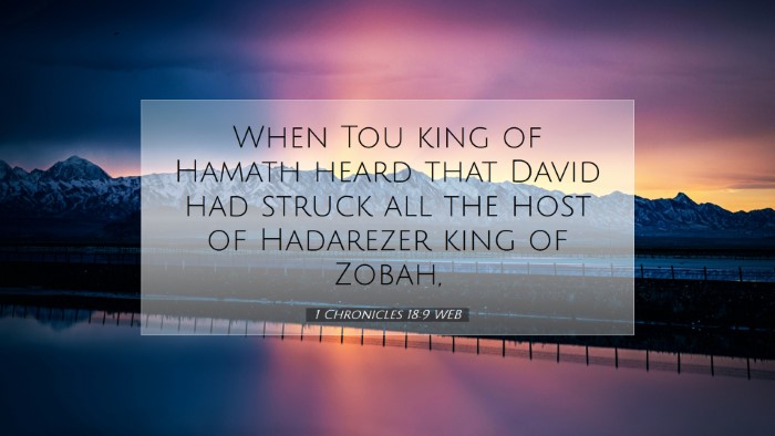 Picture 07 - 1 Chronicles 18:9 WEB Desktop Wallpaper - When Tou king of Hamath heard that David had - Desktop Bible Verse Wallpaper