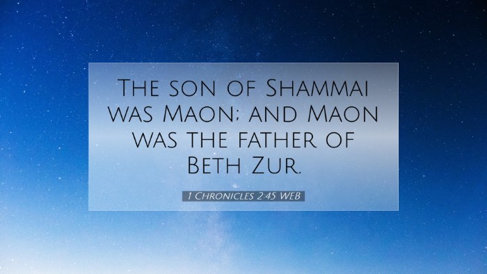 Picture 07 - 1 Chronicles 2:45 WEB Desktop Wallpaper - The son of Shammai was Maon; and Maon was the - Desktop Bible Verse Wallpaper