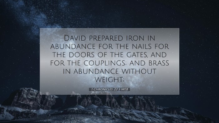 Picture 07 - 1 Chronicles 22:3 WEB Desktop Wallpaper - David prepared iron in abundance for the nails - Desktop Bible Verse Wallpaper