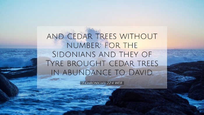 Picture 07 - 1 Chronicles 22:4 WEB Desktop Wallpaper - and cedar trees without number: for the Sidonians - Desktop Bible Verse Wallpaper