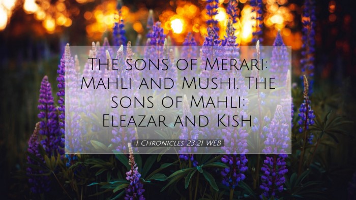 Picture 07 - 1 Chronicles 23:21 WEB Desktop Wallpaper - The sons of Merari: Mahli and Mushi. The sons of - Desktop Bible Verse Wallpaper