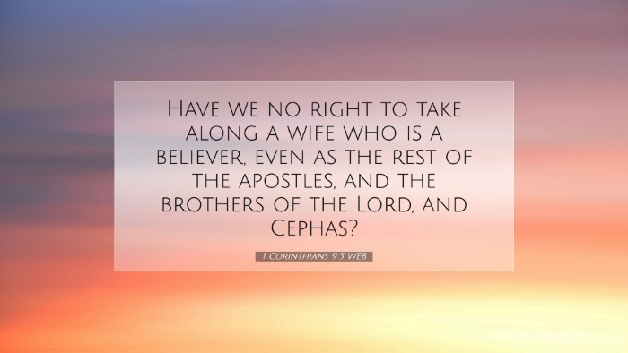 Picture 07 - 1 Corinthians 9:5 WEB Desktop Wallpaper - Have we no right to take along a wife who is a - Desktop Bible Verse Wallpaper