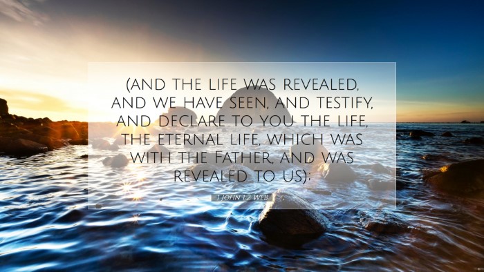 Picture 07 - 1 John 1:2 WEB Desktop Wallpaper - (and the life was revealed, and we have seen, and - Desktop Bible Verse Wallpaper