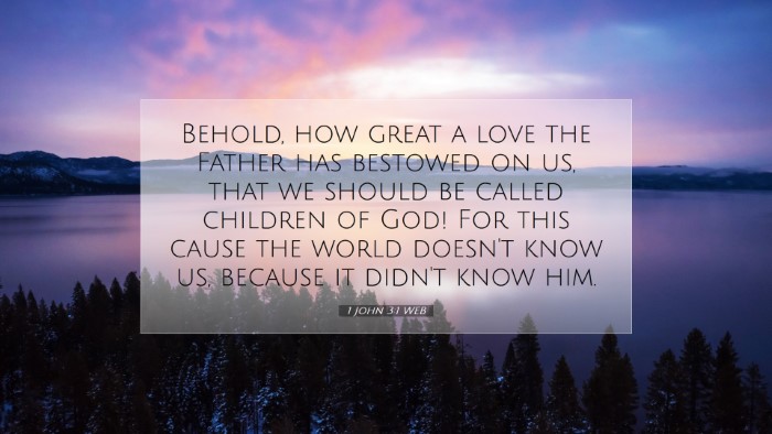 Picture 07 - 1 John 3:1 WEB Desktop Wallpaper - Behold, how great a love the Father has bestowed - Desktop Bible Verse Wallpaper