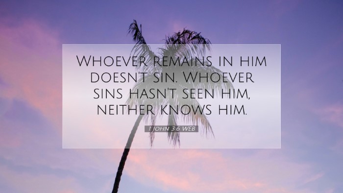Picture 07 - 1 John 3:6 WEB Desktop Wallpaper - Whoever remains in him doesn't sin. Whoever sins - Desktop Bible Verse Wallpaper
