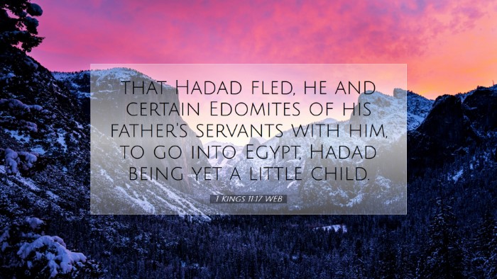 Picture 07 - 1 Kings 11:17 WEB Desktop Wallpaper - that Hadad fled, he and certain Edomites of his - Desktop Bible Verse Wallpaper