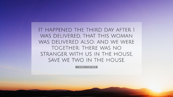 Picture 07 - 1 Kings 3:18 WEB Desktop Wallpaper - It happened the third day after I was delivered, - Desktop Bible Verse Wallpaper