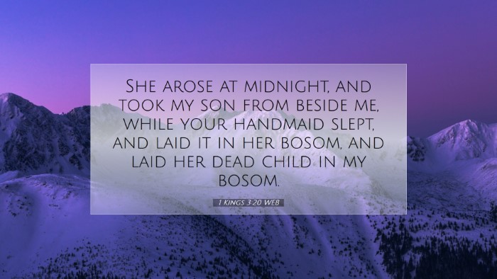 Picture 07 - 1 Kings 3:20 WEB Desktop Wallpaper - She arose at midnight, and took my son from - Desktop Bible Verse Wallpaper