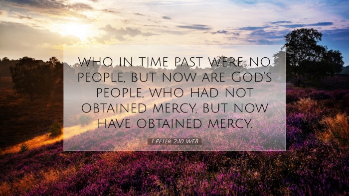 Picture 07 - 1 Peter 2:10 WEB Desktop Wallpaper - who in time past were no people, but now are - Desktop Bible Verse Wallpaper