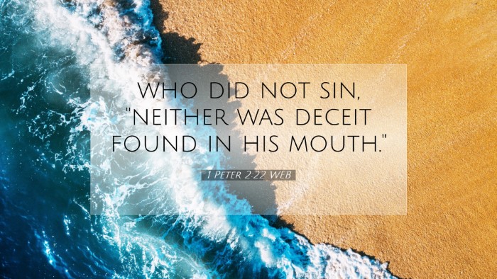 Picture 07 - 1 Peter 2:22 WEB Desktop Wallpaper - who did not sin, 